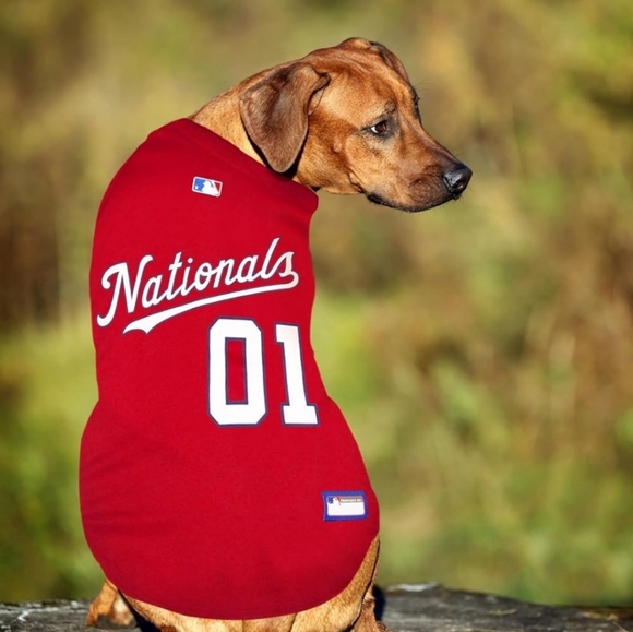 Official MLB Washington Nationals Pet Jersey for Dogs & Cats - Picture 7 of 10